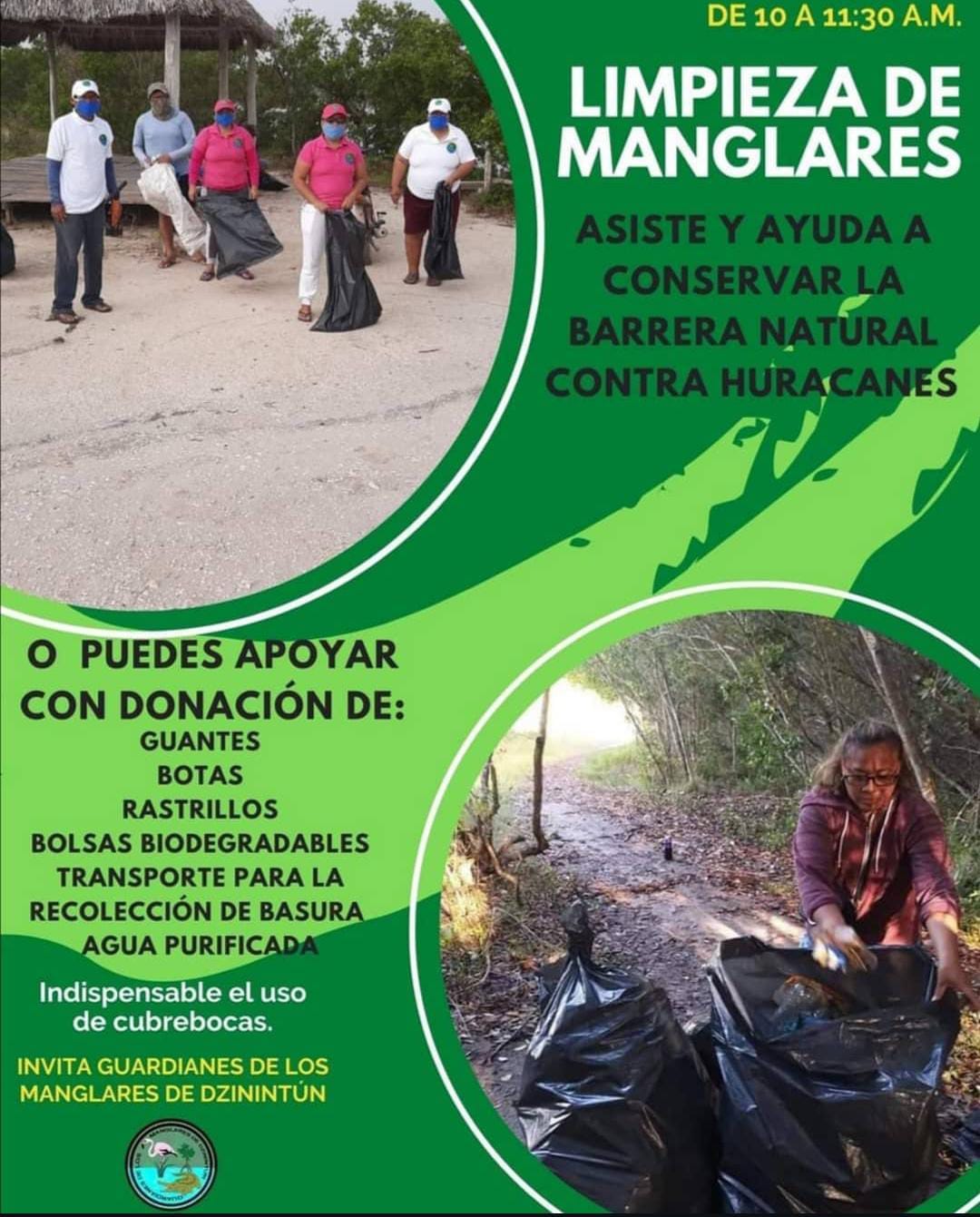 Limpieza de los manglares