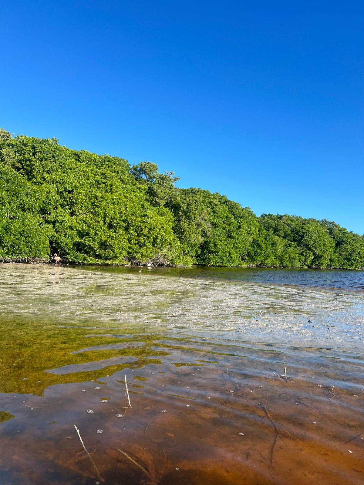 Fotografía de Viajes